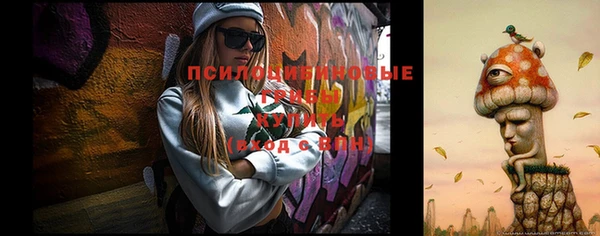 соль ск Семилуки